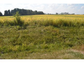 Property photo 20 - REAL ESTATE AUCTION - 604+/- ACRES IN 14 TRACTS IN MERCER CO., OHIO